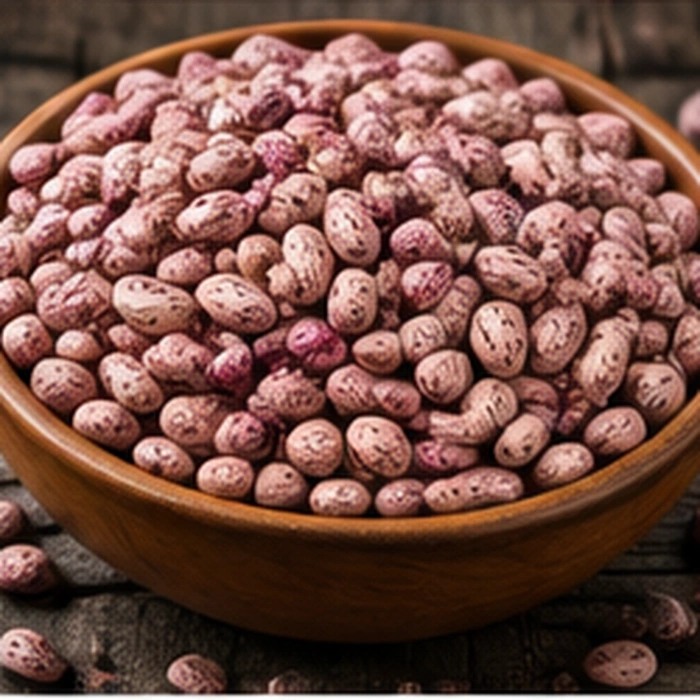 Dried Beans — Export Line — Y PRO GLOBAL