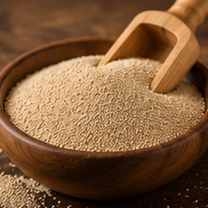Food-Grade Yeast — Y PRO GLOBAL