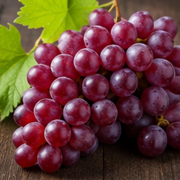Fresh Grapes — Export Line — Y PRO GLOBAL