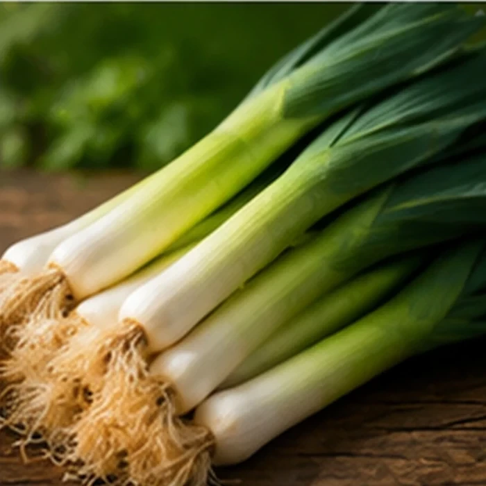 Fresh Leeks — Export Line — Y PRO GLOBAL