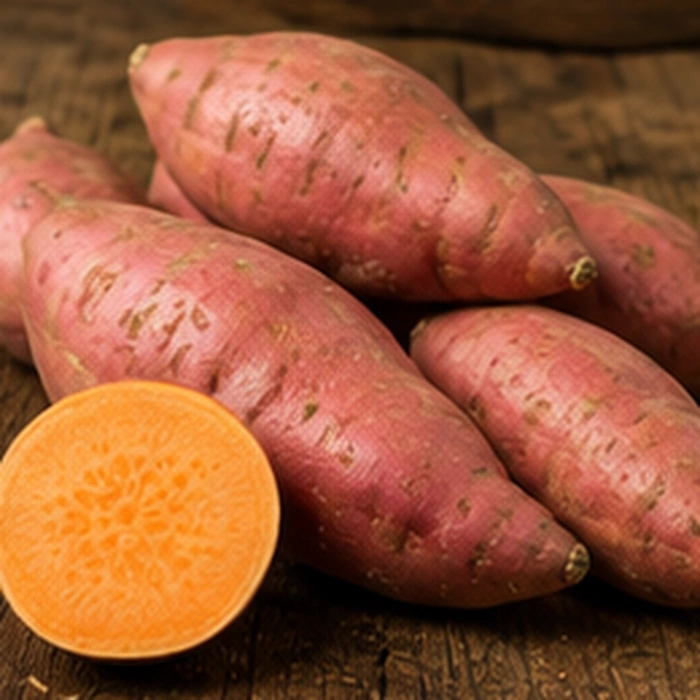 Fresh Sweet Potatoes — Export Line — Y PRO GLOBAL