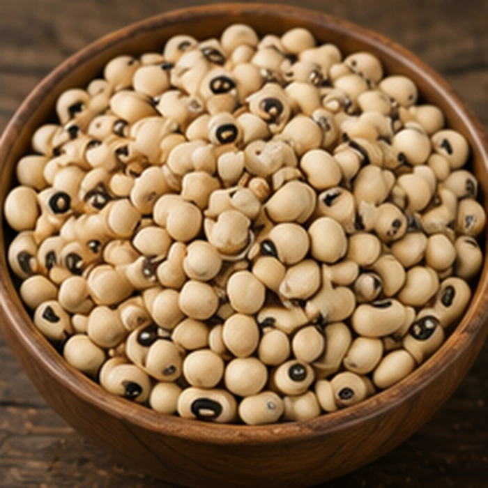Kidney Beans — Y PRO GLOBAL
