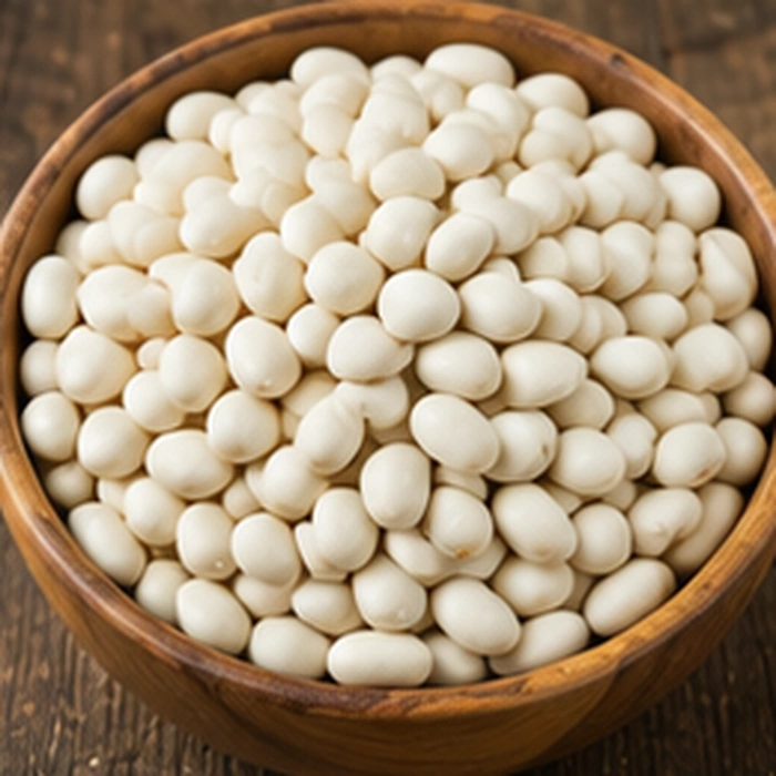 Lentils — Y PRO GLOBAL