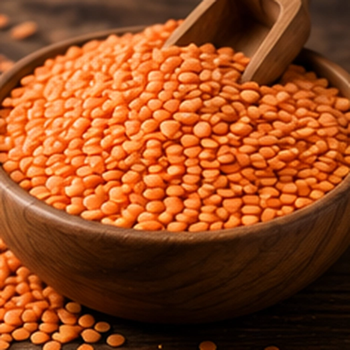 Red Lentils — Y PRO GLOBAL
