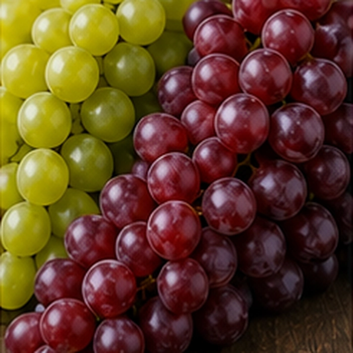 Seedless Grapes — Y PRO GLOBAL